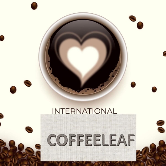 Coffeleaf Doypack Geleneksel Türk Kahvesi 50G resmi