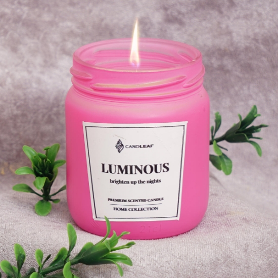 Candleaf Cam Mum- Pembe resmi