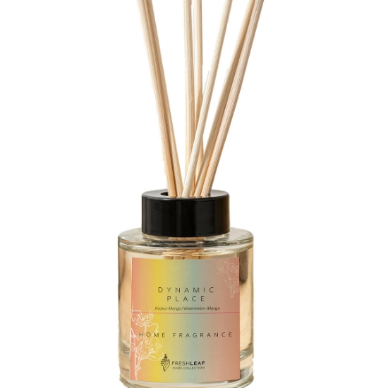 Freshleaf Oda Kokusu 100ml - Mango